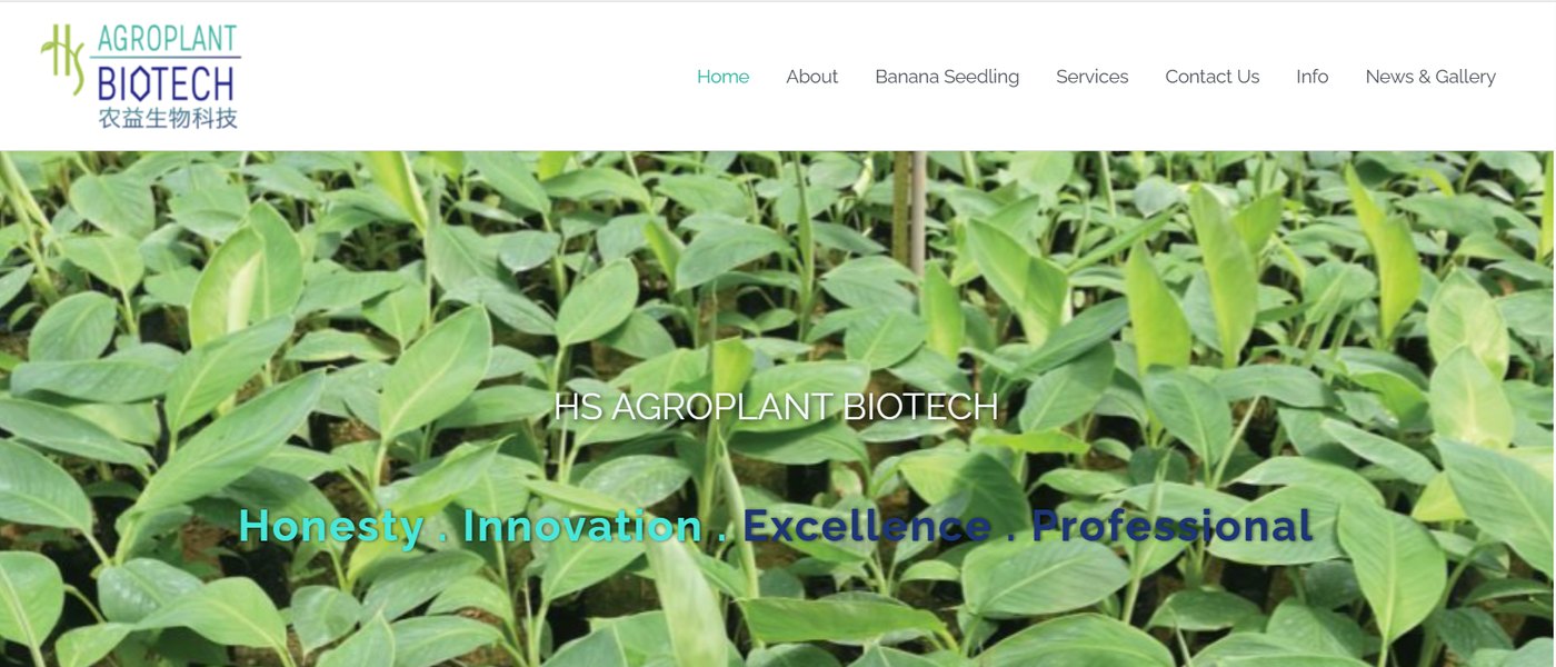 HS Agroplant Biotech 翻新前的旧网站